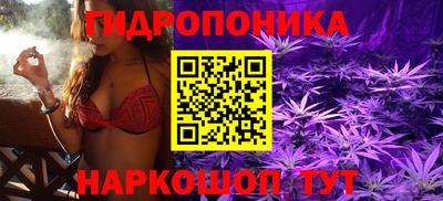 гидропоника Коммунар