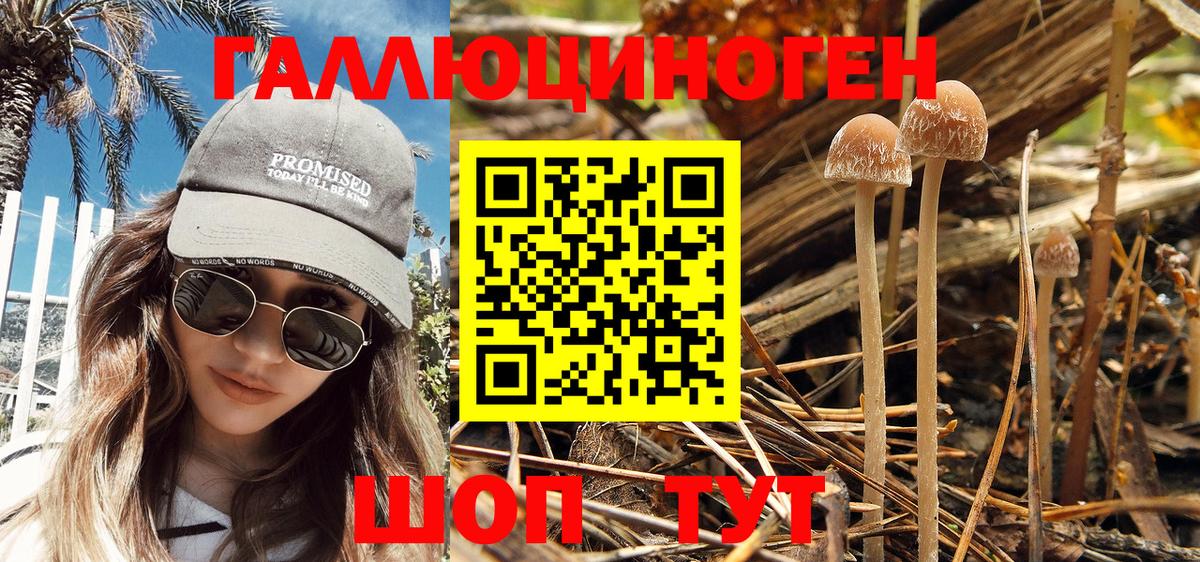 Галлюциногенные грибы MAGIC MUSHROOMS  Вход с VPN  Дальнереченск  Галлюциногенные грибы Magic Shrooms 