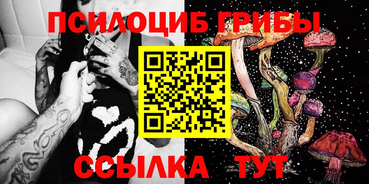Псилоцибиновые грибы Cubensis Дальнереченск