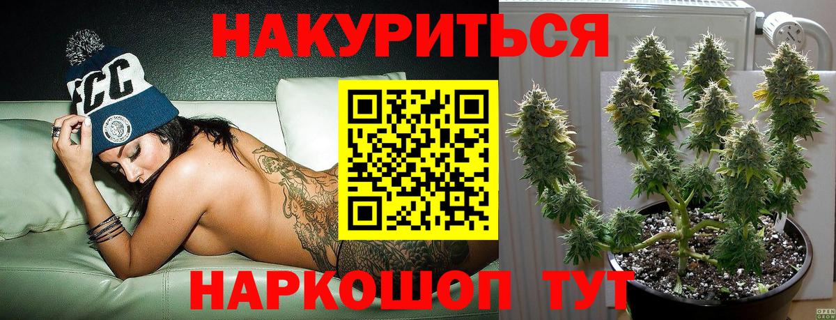 Бошки Шишки семена  Канабис Ganja  Марихуана Ganja  Дальнереченск  Вход с VPN 