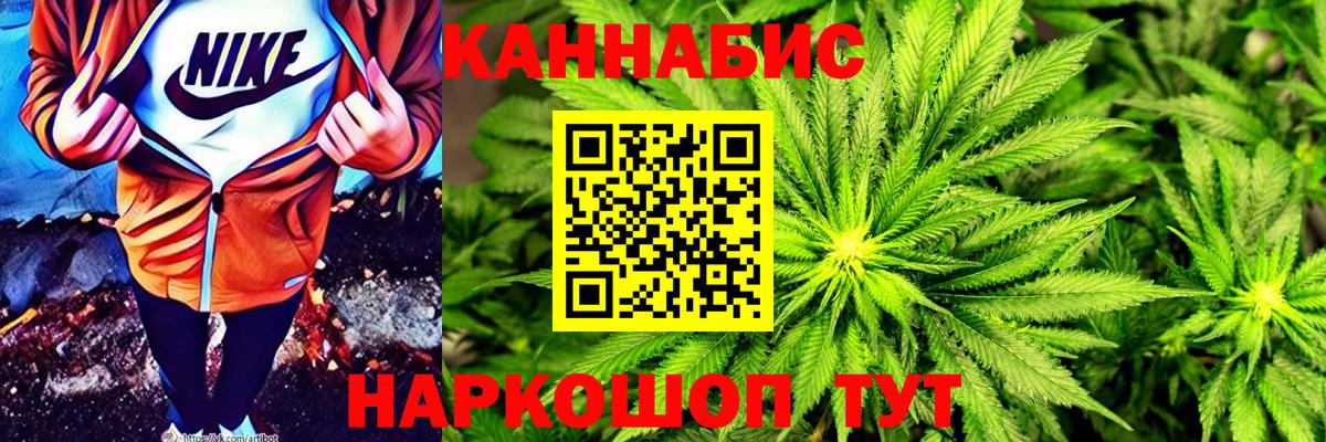 Каннабис сатива Дальнереченск